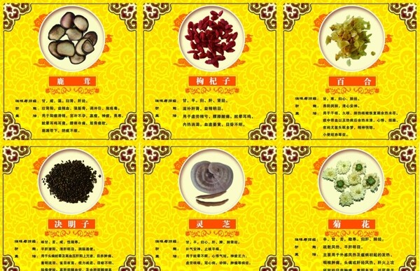 中藥功能與主治圖片