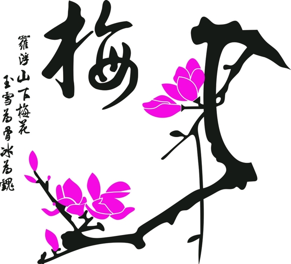 梅花圖片