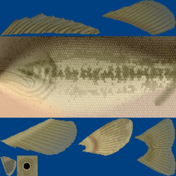 各種精美魚3d模型