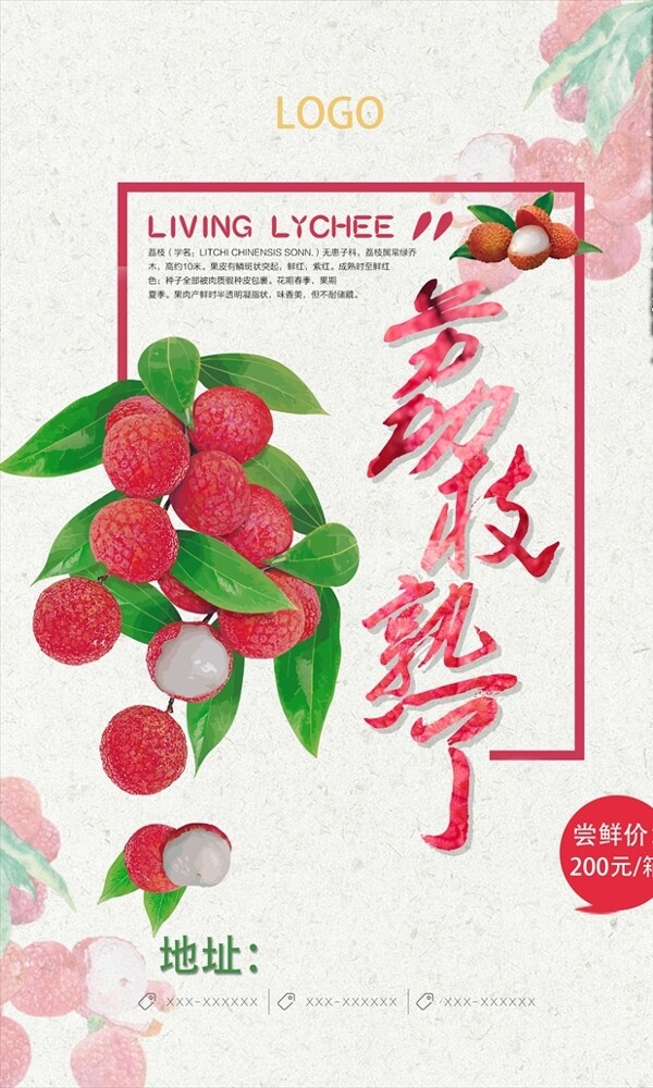 荔枝水果海報(bào)