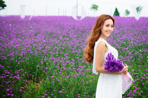 抱著花束的新娘美女圖片