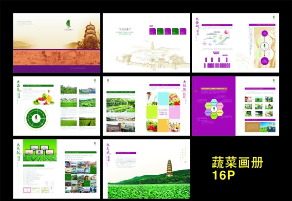 蔬菜畫冊