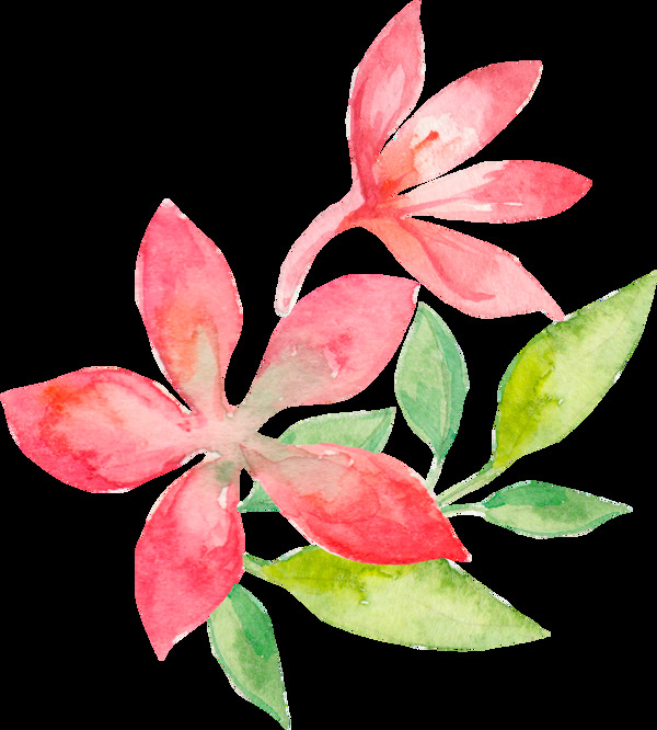 簡(jiǎn)約水彩花卉透明裝飾素材