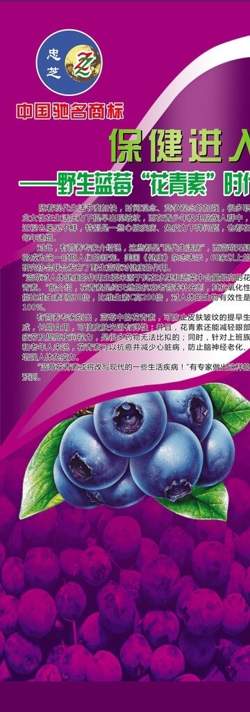 蓝莓展板图片