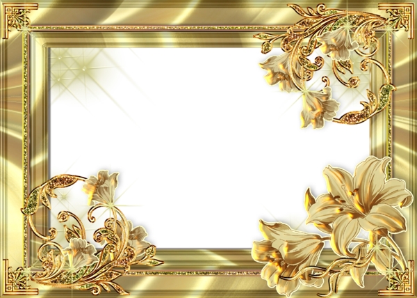 金色方形花卉边框免抠psd透明素材