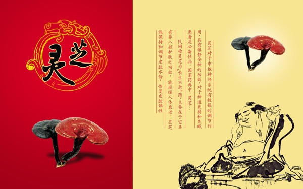 保健品醫(yī)療廣告