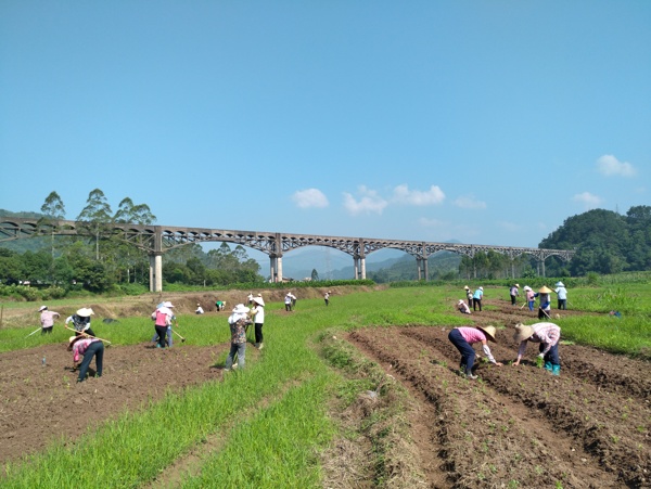 蒙山縣風(fēng)光