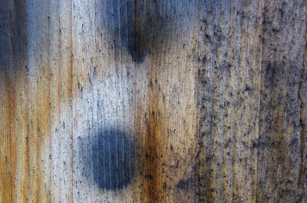 木材表面纹理22