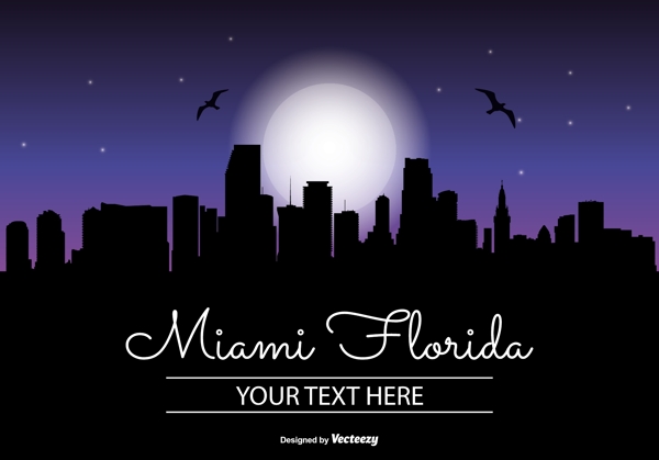 迈阿密夜景天际线插图