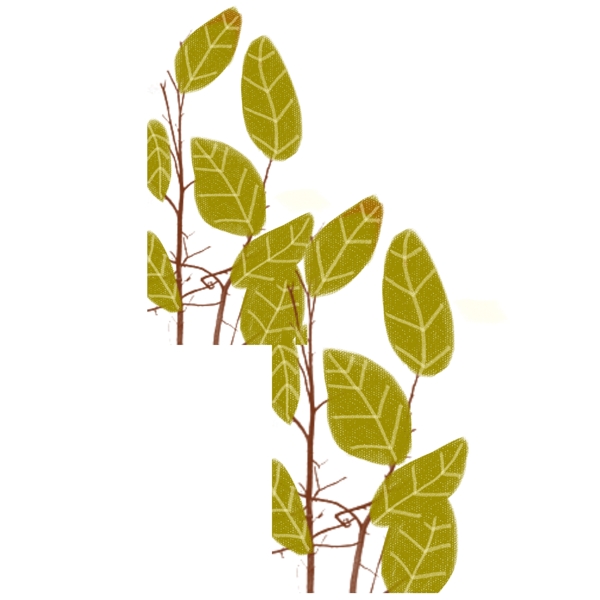清新风水彩植物卡通透明素材