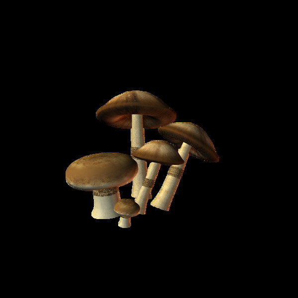 矢量黑色蘑菇元素