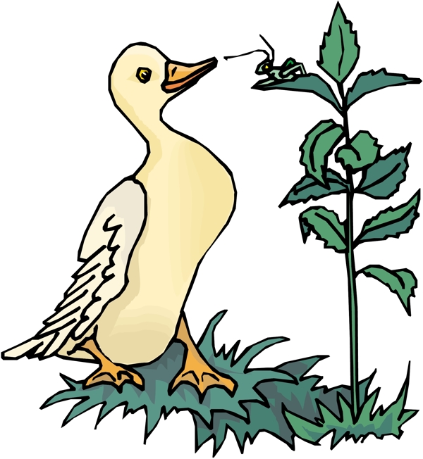 各種鳥類鳥動物矢量素材EPS格式0645