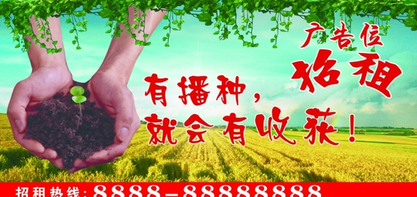 有播才有收獲圖片