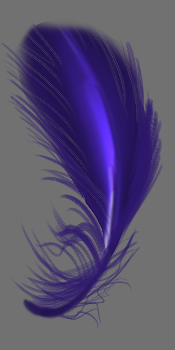 紫色弯曲羽毛