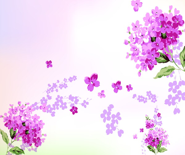 花束移門