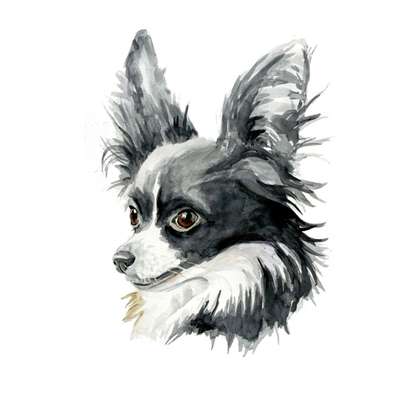 位圖插畫(huà)動(dòng)物插畫(huà)藝術(shù)效果手繪免費(fèi)素材