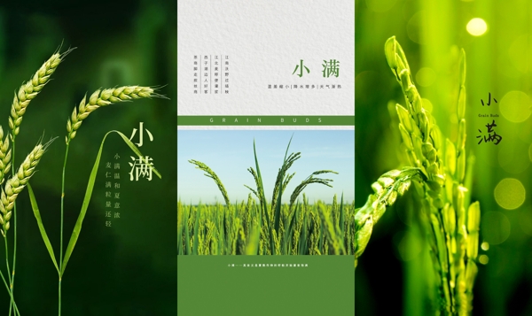 小滿