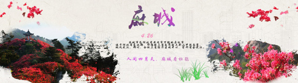 杜鵑花