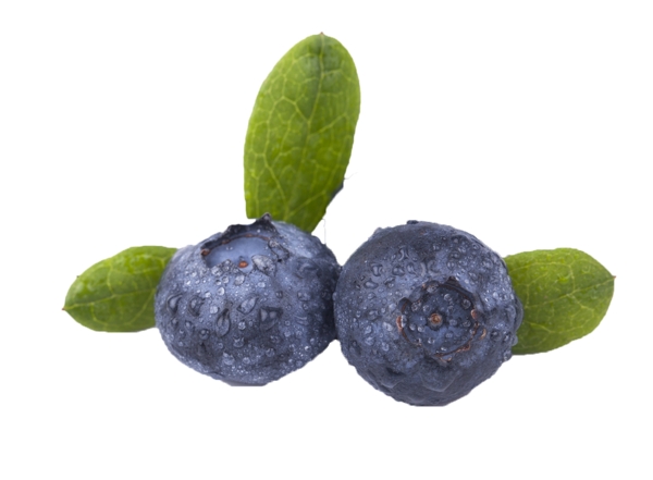 酸甜可口营养蓝莓