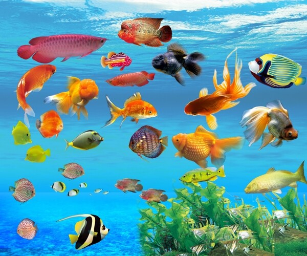 海底世界