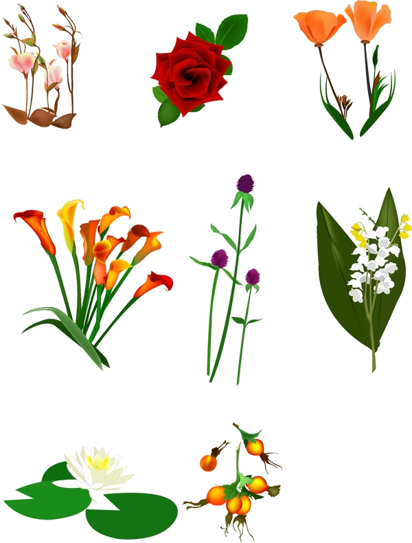 矢量鮮花圖片