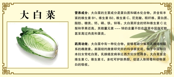 大白菜簡介圖片