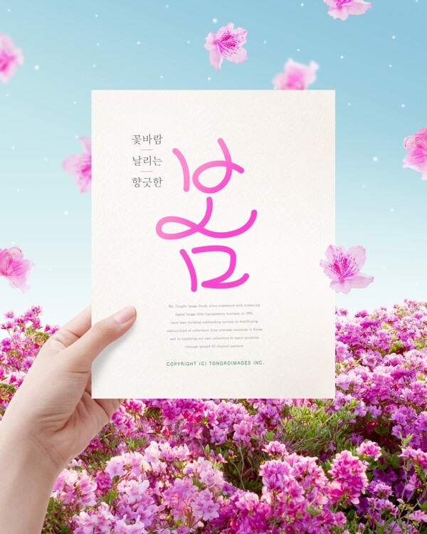 韩式唯美春天花海海报模板设计