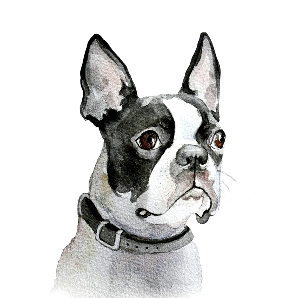 位圖插畫時尚插畫動物插畫藝術(shù)效果免費素材