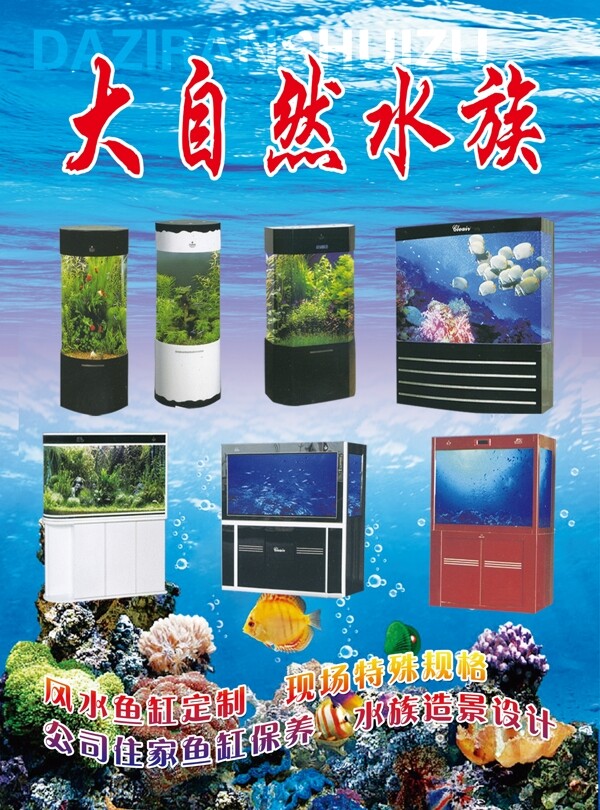 大自然水族DM宣傳單
