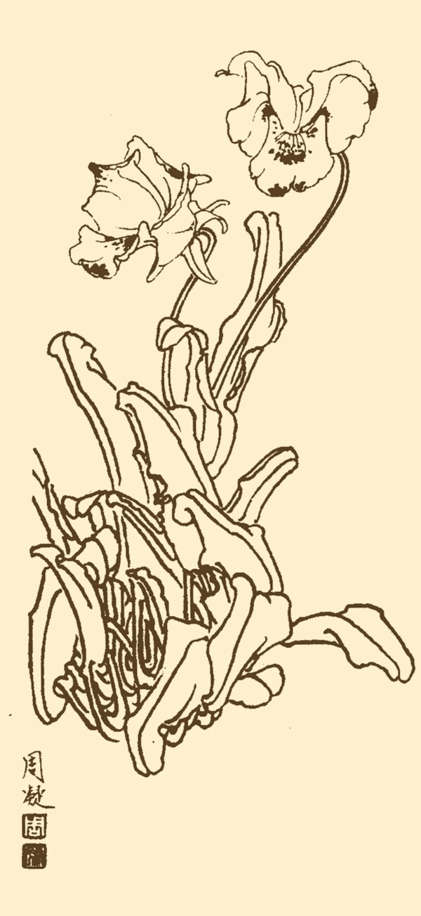 蝴蝶花圖片