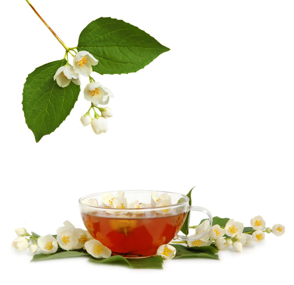 茶文化高清圖片