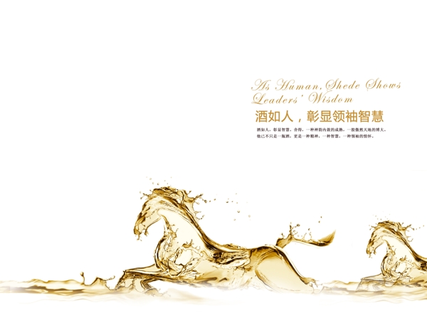 舍得酒畫冊圖片