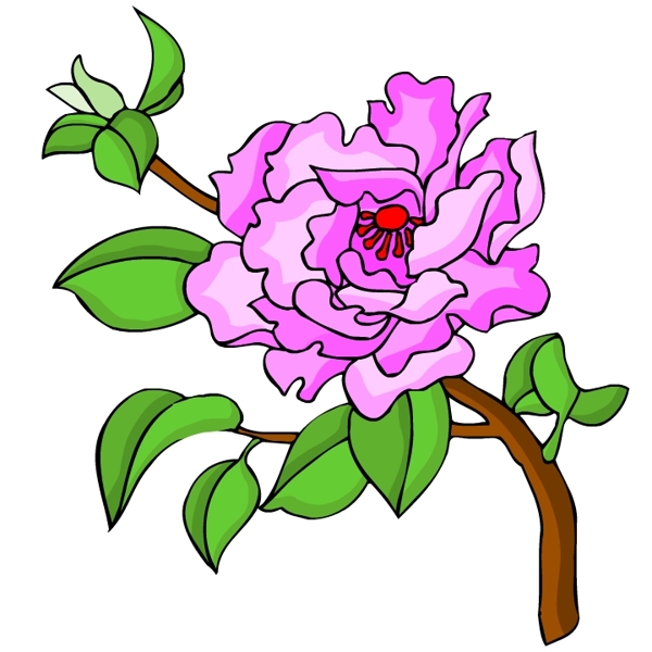花卉古典插畫(huà)