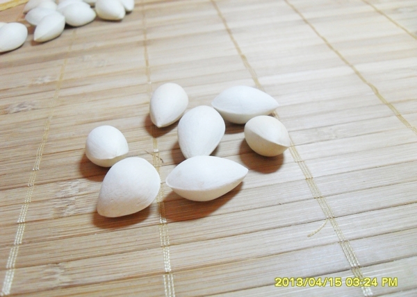 白果圖片
