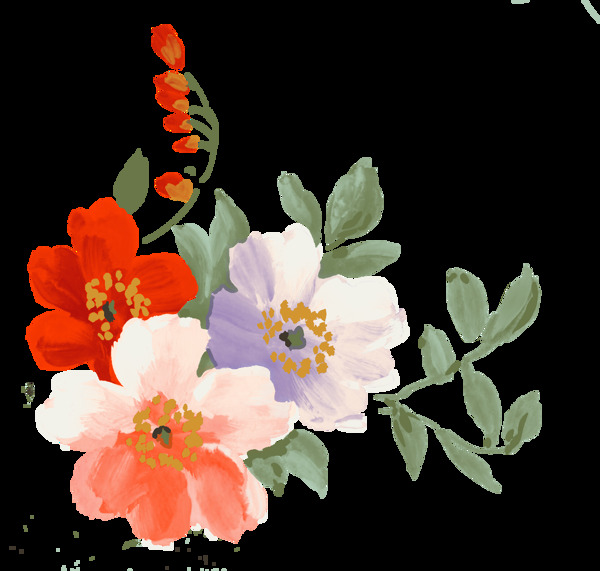 中国风古典手绘花卉花朵