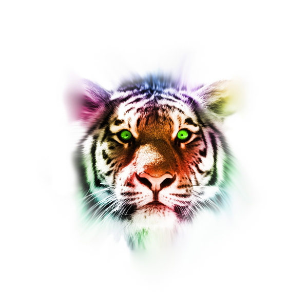 位圖插畫時尚插畫動物插畫藝術效果免費素材