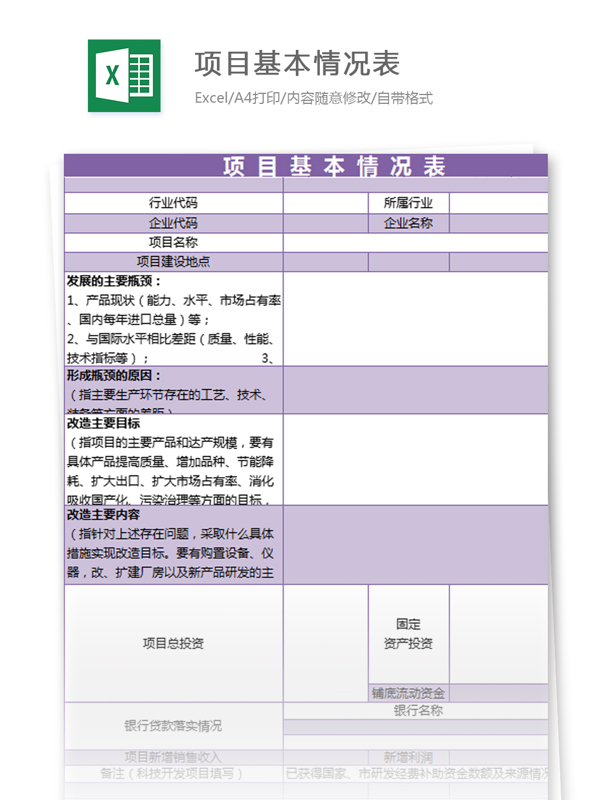 項(xiàng)目基本情況表excel模板