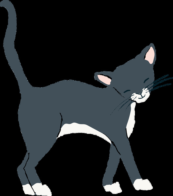 手绘深灰色行走中的微笑小猫透明猫咪素材