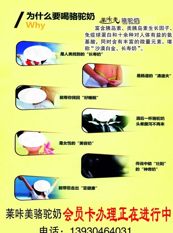 駱駝奶展板圖片