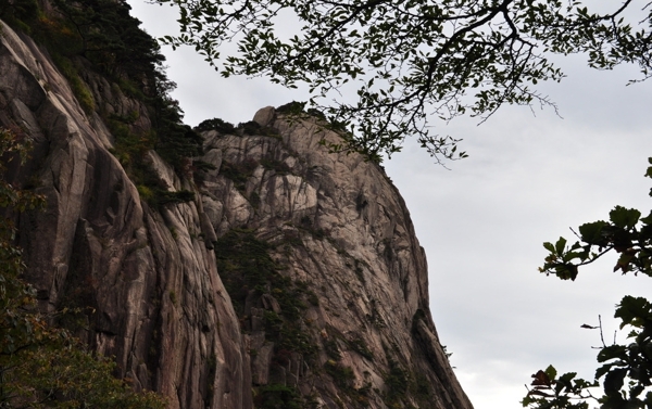 黃山圖片