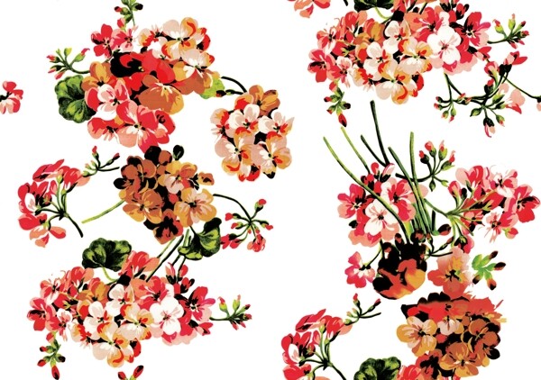 紅花