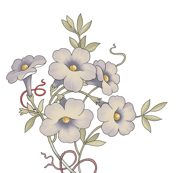 成熟優(yōu)雅女裝T恤圖案毛衫印花優(yōu)雅植物植物免費素材