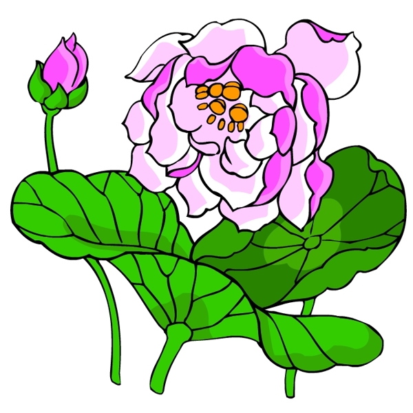 花卉古典插畫