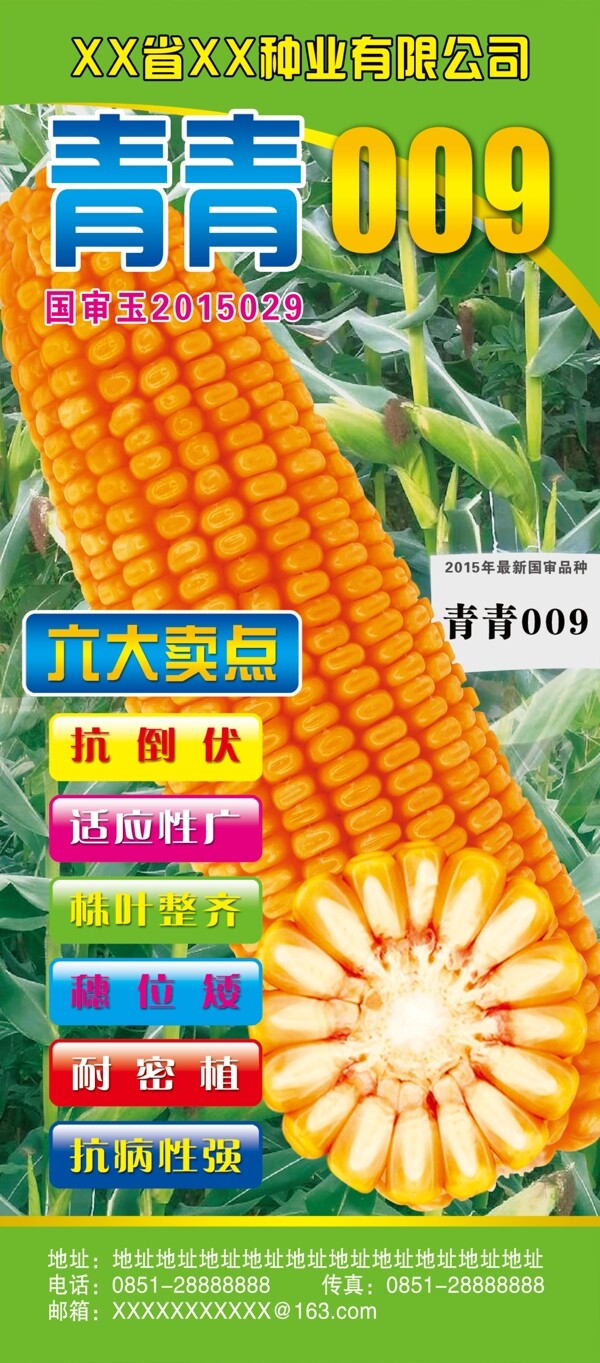 青青009展架