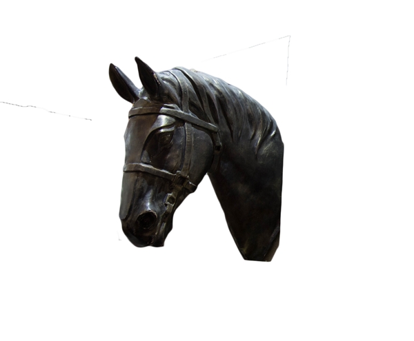 精雕细刻的黑马头像