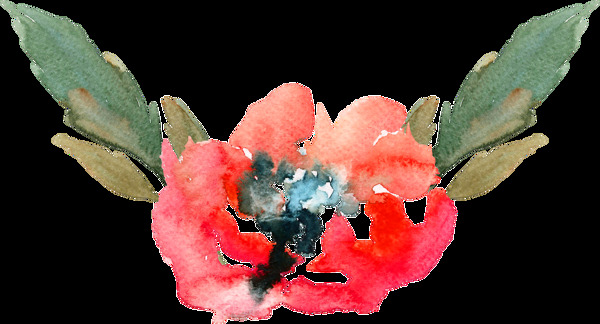 水墨红色花卉卡通透明素材
