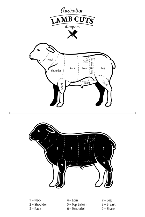 卡通家禽绵羊插画