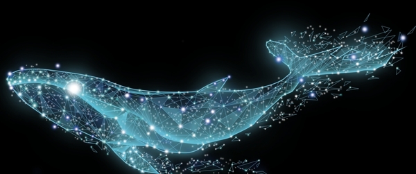 鲸鱼星空光点科技插画远航
