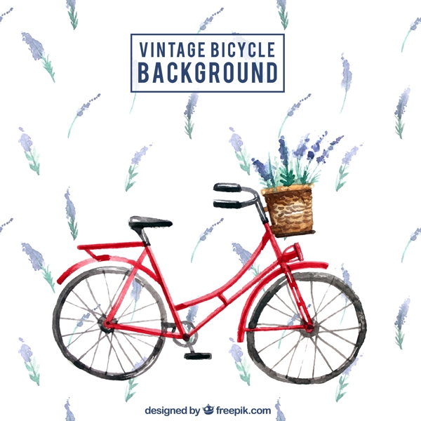 水彩画的老式自行车与薰衣草的背景