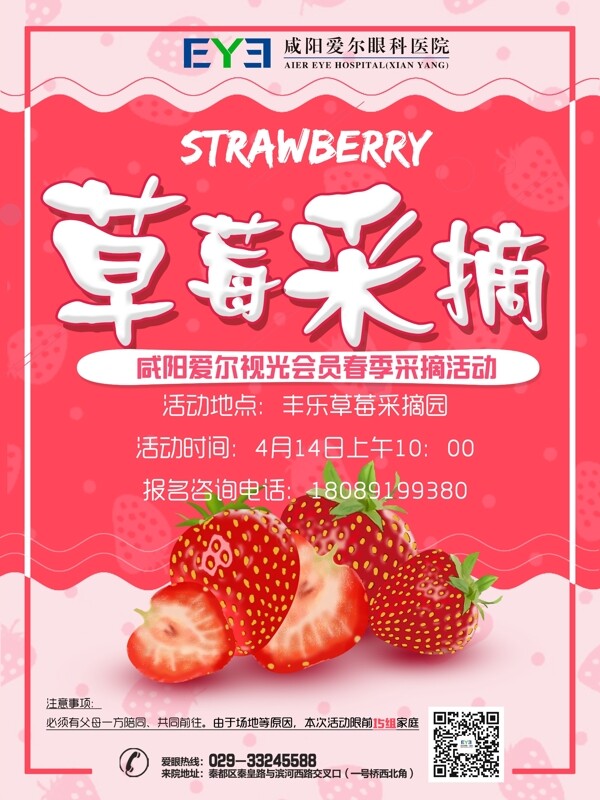 草莓采摘节